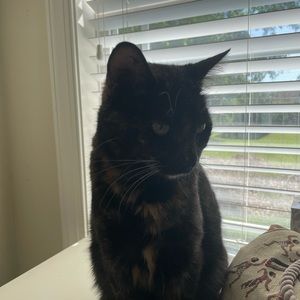 Meet your Posher, Jo